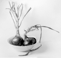 Red Onions in a Bowl